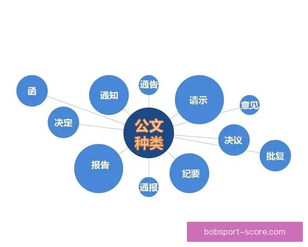围绕世界杯竞猜投注规则全面解析玩法策略与风险提示指南实用参考